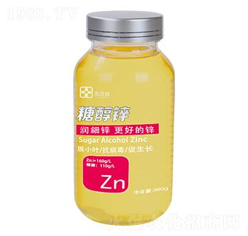 �Ǵ��\ ������