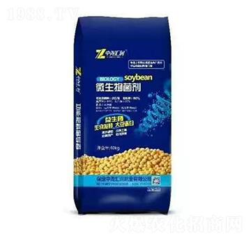 40kg΢������� �Ј�R��