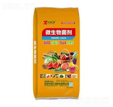 ΢������� �Ј�R��