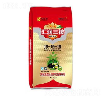 �������19-19-19 �R������ �Ј�R��