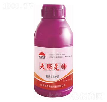 ����������� �������� ��������