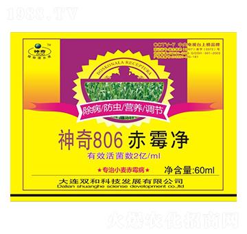 ��ù�� ����806 �p�ͿƼ�