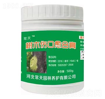 ��ľ�������ϸ� ����