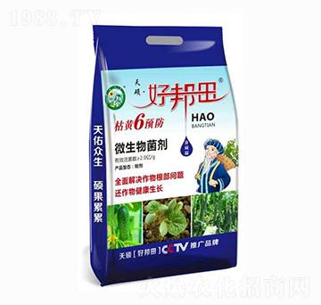 ���S6�A(y��)�� �ð��� ��T