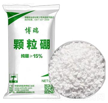 �w����ʩ��� �����r(n��ng)��