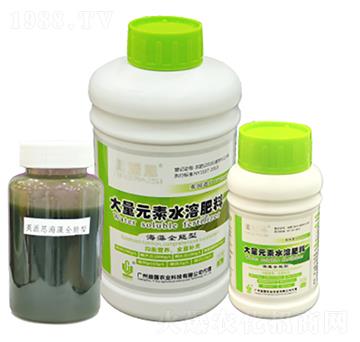 Ӣ��˼�������� ���(gu��)�r(n��ng)�I(y��)