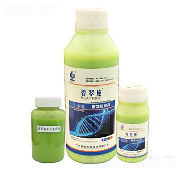 �̴�ʩ�����߃�(y��u)���� ����r(n��ng)�I(y��)