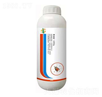 73%Ȳ���� ��������