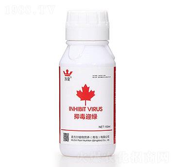 �ֶ�ӭ�G�����β������� �G�ʼt��