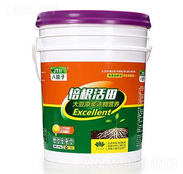 ΢������� �������� �˾��� ǧ��ֲ��