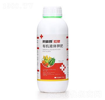 �ЙCҺ�w⛷� �u̼�ɼt�� ǧ��ֲ��