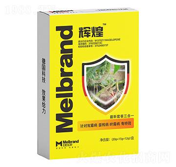 �x�� ����(l��)��