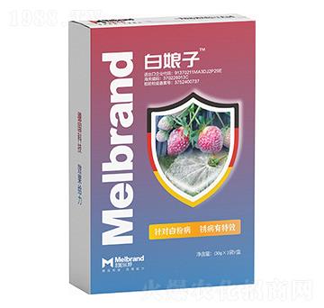 �׷۲����P����Ч ������ ������