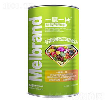 �߲˹Ϲ���(zhu��n)�� һ��һƬ ����(l��)��