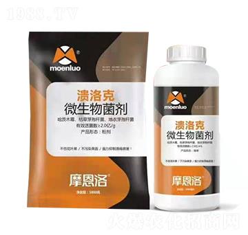 ΢������� ����� Ħ����