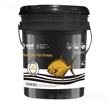 ��~(y��)���� �����R