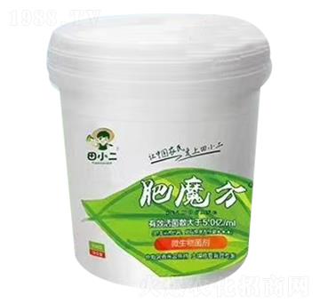 ��ħ�� ��С��