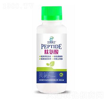 �İ��� �����r�I(y��)