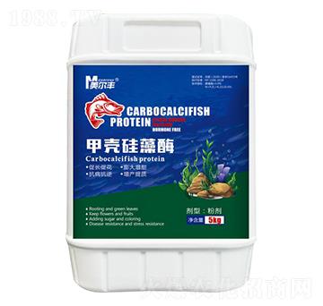 �ך�����ø-�����S-���Π�