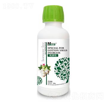 �ҝM֦-�����S-���Π�