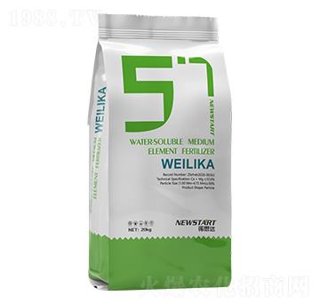 ΢���� �Z˼�_(d��)