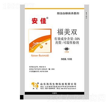 50%�����p ���� ��Ӎ����