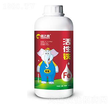 �����F �Z֮ɭ