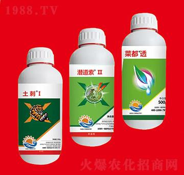 �����M�Ϣ� ��Ƚ���W