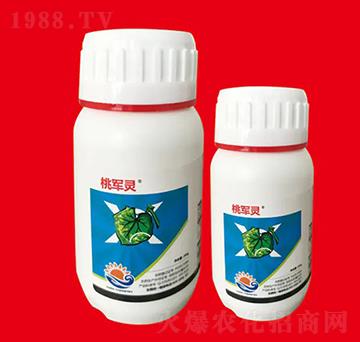 2%����ù�� ��܊�` ��Ƚ���W