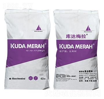 �M�������ԏ�(f��)�Ϸ���12-12-17+3MgO ���_÷��