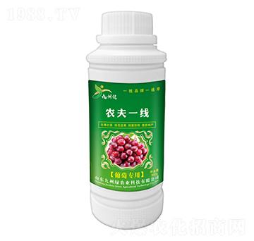 ���ь�(zhu��n)���~��� �r(n��ng)��һ��(xi��n) ���ݾG