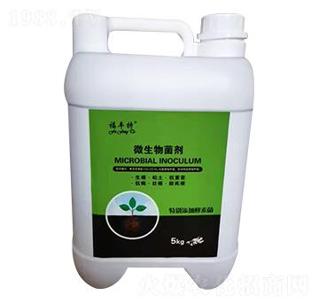 ΢������� ���S�� ������