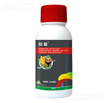 46%���ǡ�������ݬ-╰�-�S�՘�