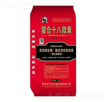 ����ʮ��΢��-����r�I(y��)