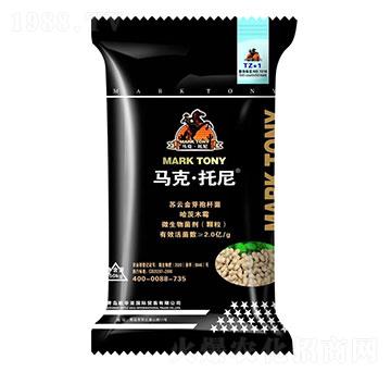 �������طN��-�R�ˡ�����