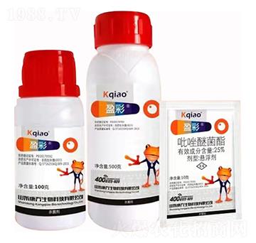 25%�����Ѿ��� ӯ�� ��������