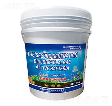 �ڶ������ﺣ����ԉ���