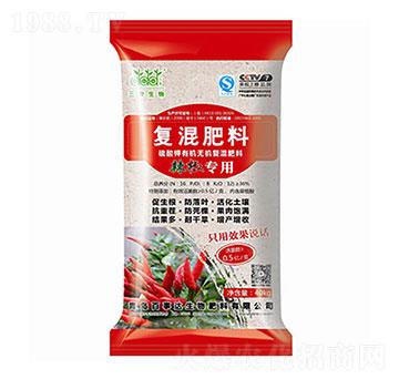 �������÷� ���ۏ�(f��)����� �����_