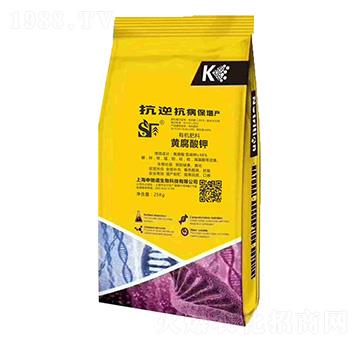 �S������ЙC(j��)���� ���Y�Z