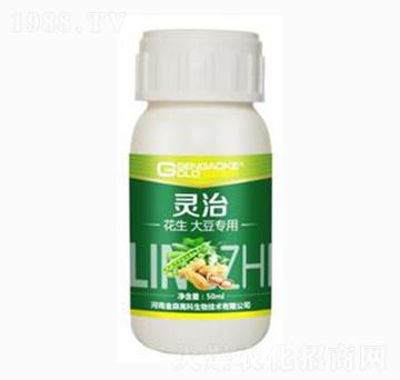 �����󶹌����͏�(f��)��΢��