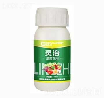 �ϲˌ��Ï�(f��)��΢�������