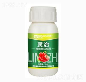 �������ь����͏�(f��)��΢��