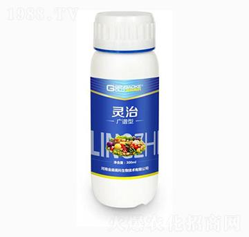 �V�V�͏�(f��)��΢�������-