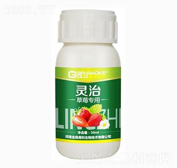 ��ݮ�����͏�(f��)��΢�����