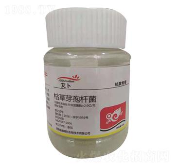 �ݲ�ѿ�ߗU�������Sή���ã�-����-��ɭ�߿�