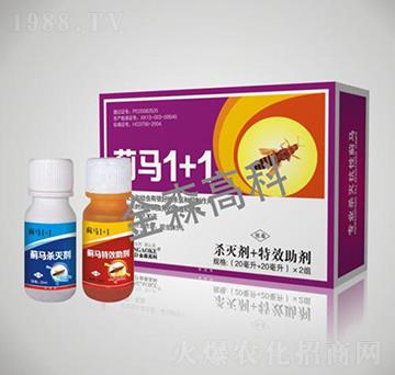 �E�R1+1-��ɭ�߿�