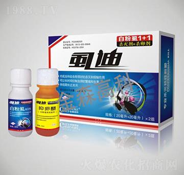 ʭ��1+1-��ɭ�߿�