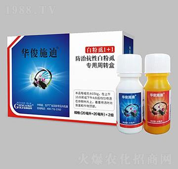 �A��ʭ�ϣ����԰׷�ʭ���ã�-��ɭ�߿�