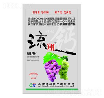 �����}-�Z��-��������