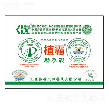 ֲ��������-��������